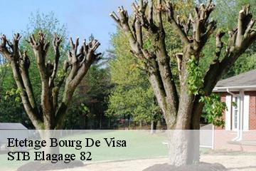 Etetage  bourg-de-visa-82190 STB Elagage 82