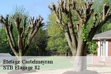 Etetage  castelmayran-82210 STB Elagage 82