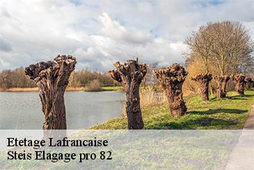 Etetage  lafrancaise-82130 STB Elagage 82