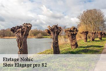 Etetage  nohic-82370 Steis Elagage pro 82