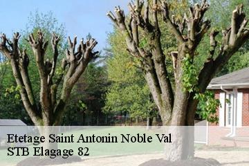 Etetage  saint-antonin-noble-val-82140 STB Elagage 82