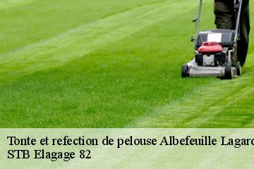 Tonte et refection de pelouse  albefeuille-lagarde-82290 STB Elagage 82