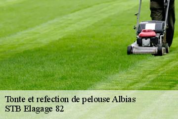 Tonte et refection de pelouse  albias-82350 STB Elagage 82