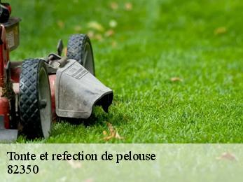 Tonte et refection de pelouse  82350