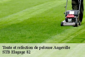 Tonte et refection de pelouse  angeville-82210 STB Elagage 82