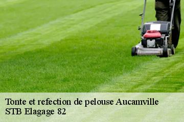 Tonte et refection de pelouse  aucamville-82600 STB Elagage 82