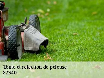 Tonte et refection de pelouse  82340