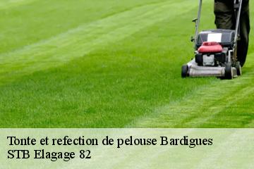 Tonte et refection de pelouse  bardigues-82340 STB Elagage 82