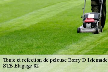 Tonte et refection de pelouse  barry-d-islemade-82290 STB Elagage 82