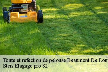 Tonte et refection de pelouse  beaumont-de-lomagne-82500 Steis Elagage pro 82