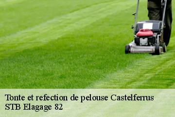 Tonte et refection de pelouse  castelferrus-82100 STB Elagage 82