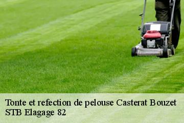 Tonte et refection de pelouse  casterat-bouzet-82120 STB Elagage 82