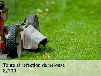 Tonte et refection de pelouse  82700