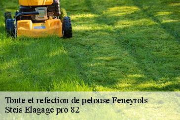 Tonte et refection de pelouse  feneyrols-82140 STB Elagage 82