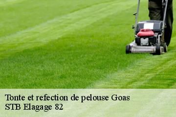 Tonte et refection de pelouse  goas-82500 STB Elagage 82