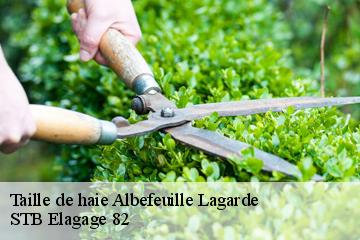 Taille de haie  albefeuille-lagarde-82290 STB Elagage 82