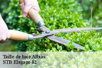 Taille de haie  albias-82350 STB Elagage 82