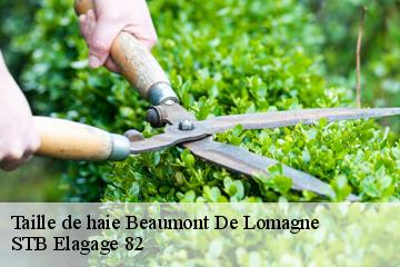 Taille de haie  beaumont-de-lomagne-82500 STB Elagage 82