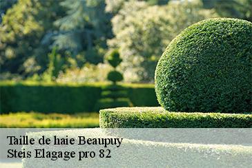 Taille de haie  beaupuy-82600 STB Elagage 82