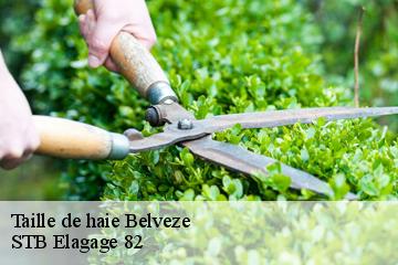 Taille de haie  belveze-82150 STB Elagage 82