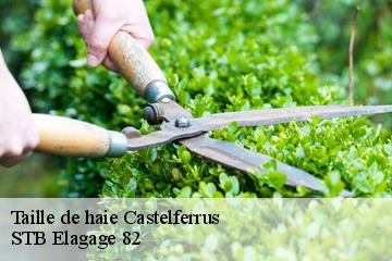 Taille de haie  castelferrus-82100 STB Elagage 82