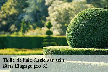 Taille de haie  castelsarrasin-82100 STB Elagage 82