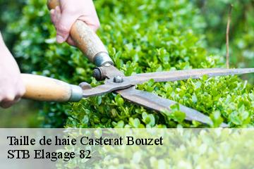 Taille de haie  casterat-bouzet-82120 STB Elagage 82