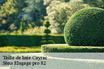 Taille de haie  cayrac-82440 STB Elagage 82