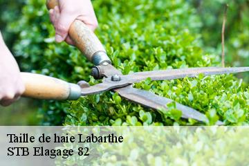 Taille de haie  labarthe-82220 STB Elagage 82