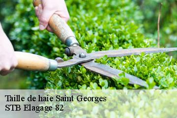 Taille de haie  saint-georges-82240 STB Elagage 82