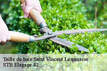 Taille de haie  saint-vincent-lespinasse-82400 STB Elagage 82