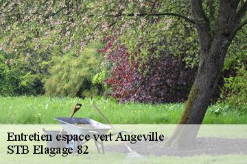 Entretien espace vert  angeville-82210 STB Elagage 82