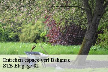 Entretien espace vert  balignac-82120 STB Elagage 82