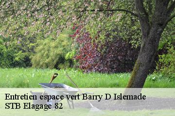 Entretien espace vert  barry-d-islemade-82290 STB Elagage 82