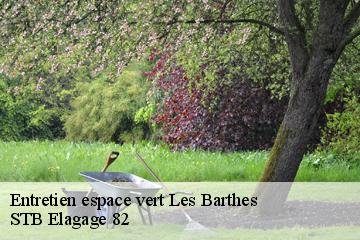 Entretien espace vert  les-barthes-82100 STB Elagage 82