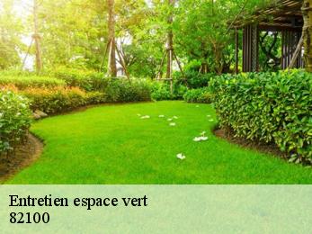 Entretien espace vert  82100