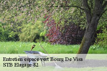 Entretien espace vert  bourg-de-visa-82190 STB Elagage 82