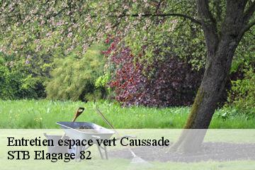 Entretien espace vert  caussade-82300 STB Elagage 82