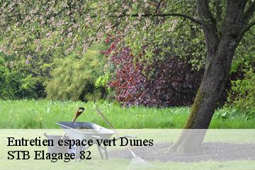 Entretien espace vert  dunes-82340 STB Elagage 82