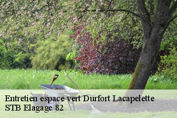 Entretien espace vert  durfort-lacapelette-82390 STB Elagage 82