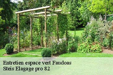 Entretien espace vert  faudoas-82500 STB Elagage 82