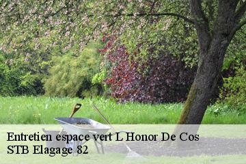 Entretien espace vert  l-honor-de-cos-82130 STB Elagage 82