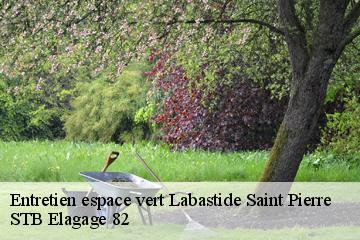 Entretien espace vert  labastide-saint-pierre-82370 STB Elagage 82