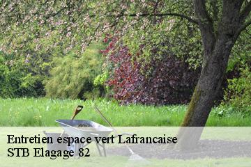 Entretien espace vert  lafrancaise-82130 STB Elagage 82