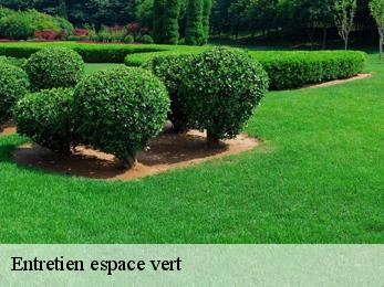 Entretien espace vert