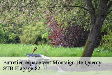 Entretien espace vert  montaigu-de-quercy-82150 STB Elagage 82