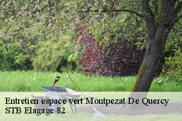 Entretien espace vert  montpezat-de-quercy-82270 STB Elagage 82