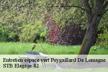 Entretien espace vert  puygaillard-de-lomagne-82120 STB Elagage 82