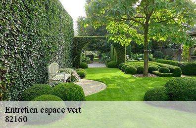 Entretien espace vert  82160