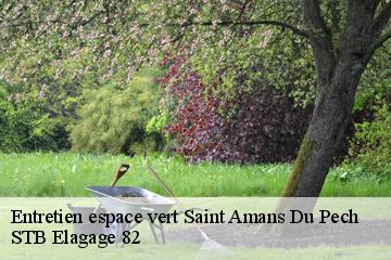 Entretien espace vert  saint-amans-du-pech-82150 STB Elagage 82